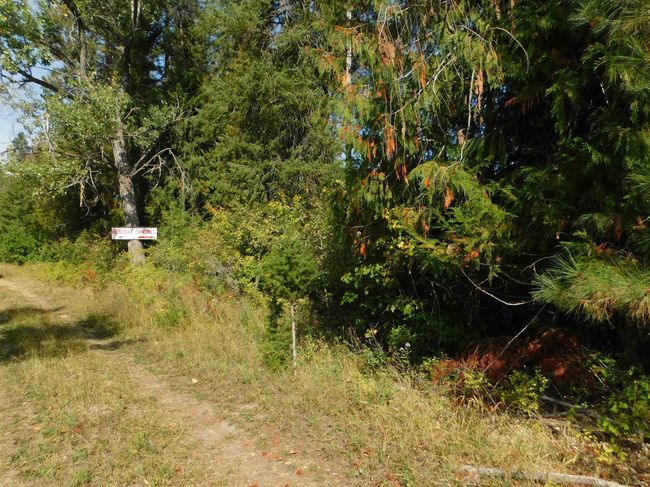 Lot 3 Highway 20 Hwy, Home with 0 bedrooms, 0 bathrooms and null parking in Cusick WA | Image 14
