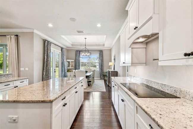15513 Phillips Rd, House other with 4 bedrooms, 3 bathrooms and null parking in ODESSA FL | Image 20