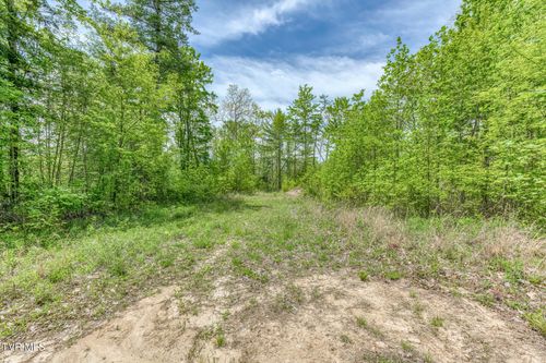 162 Murph Potter Ln, Roan Mountain, TN, 37687-3153 | Card Image