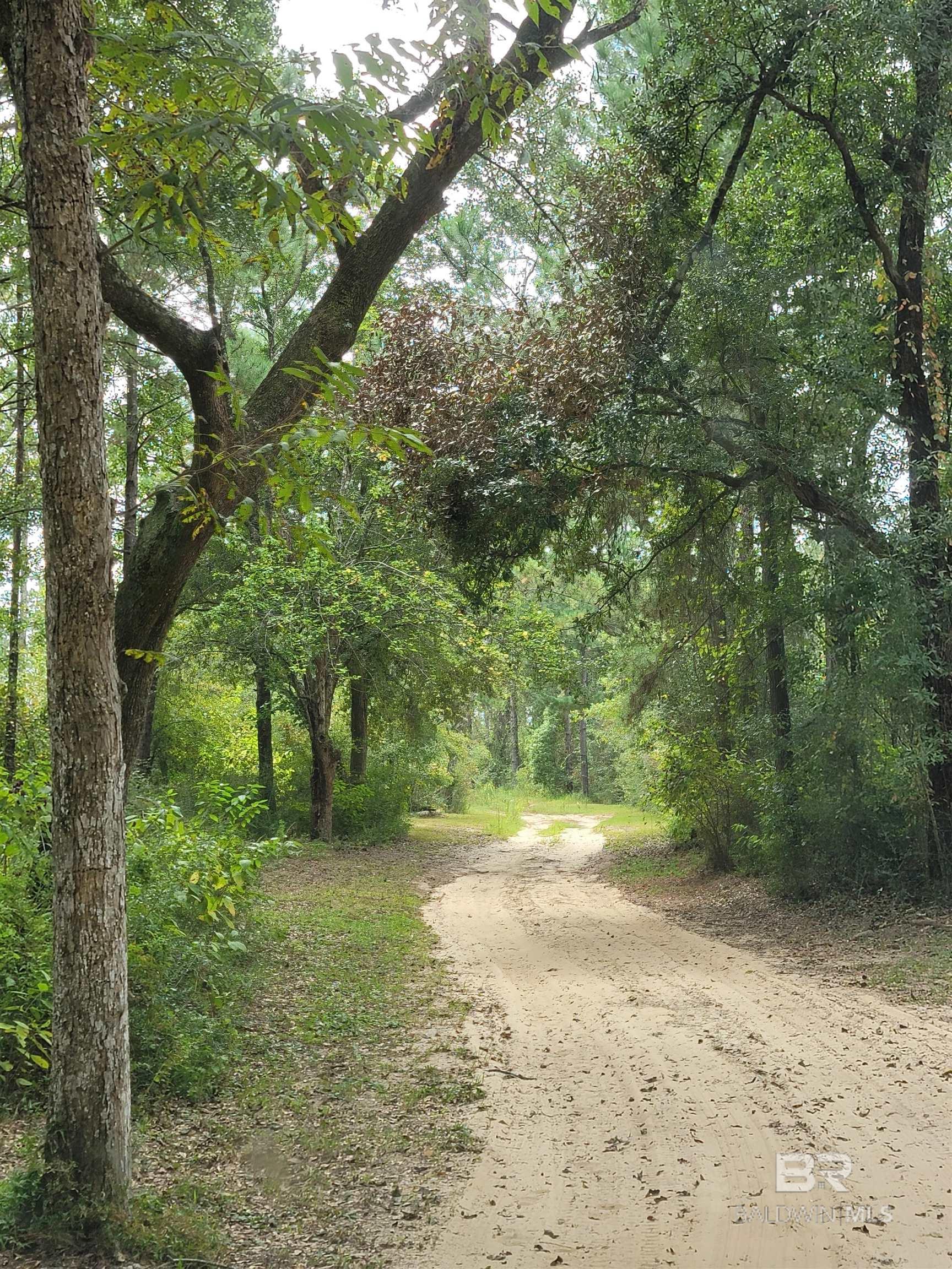 Hansel Hodges Rd, Elberta, AL 36530