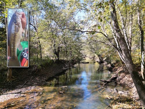 raccoon-creek-adventures-1462 Keystone Road, Vinton, OH, 45686 | Card Image