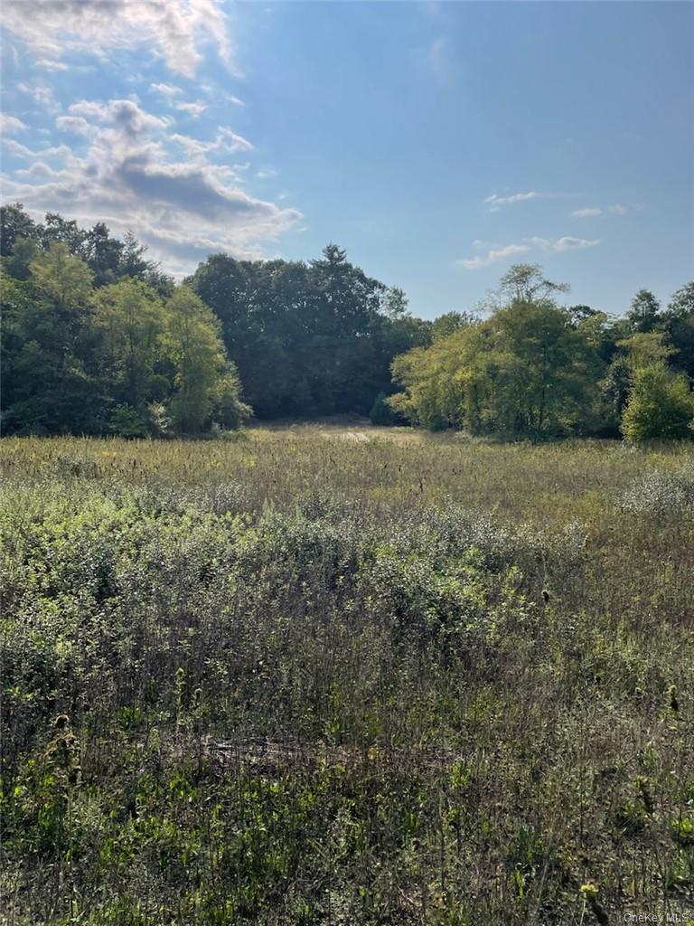 Land in Rosendale 5
