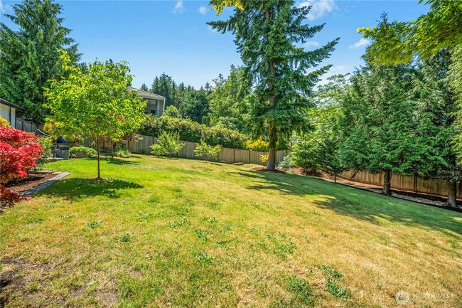 Back yard | Image 33