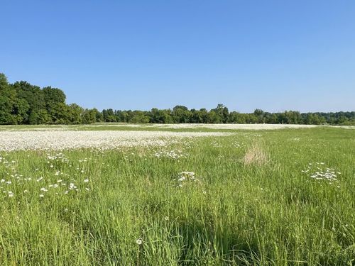XXXXX County Road Z, TRADE LAKE, WI, 54840 | Card Image
