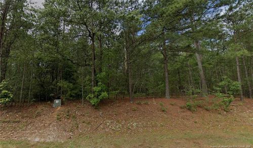 33 Peach Orchard Rd, Wagram, NC, 28396 | Card Image