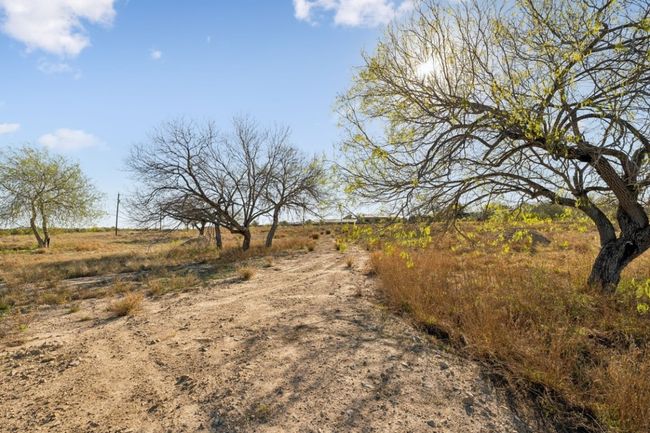 View of yard featuring a rural view | Image 15