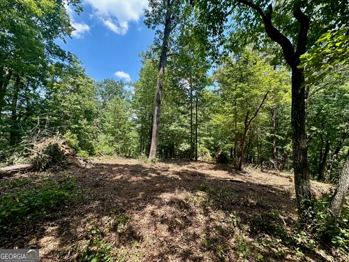 6.2 Mincey Acres Drive, Murrayville, GA, 30564 | Card Image