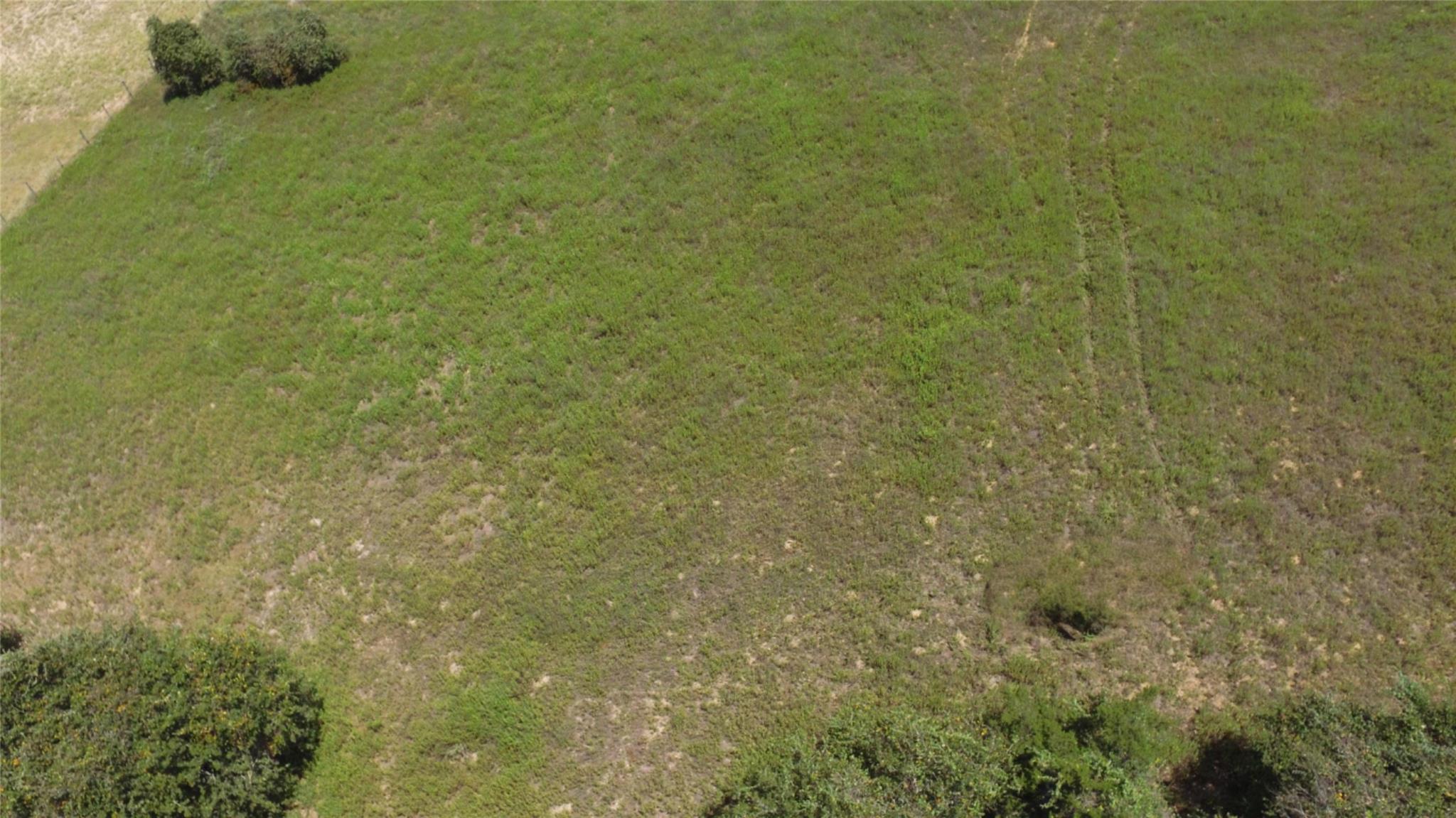 Land in Cameron 5