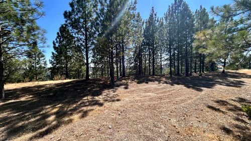 773 Red Fox Rd, Mountain Ranch, CA, 95246 | Card Image