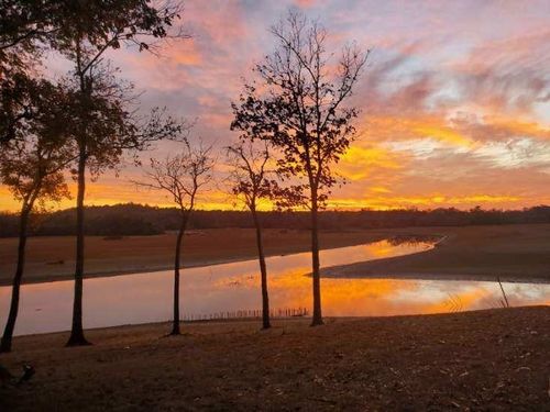 183 Featherfoot Parkway Loop, Parsons, TN, 38363-3512 | Card Image