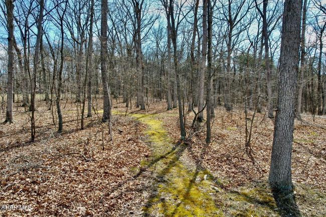 moss walking trails throughout property | Image 42