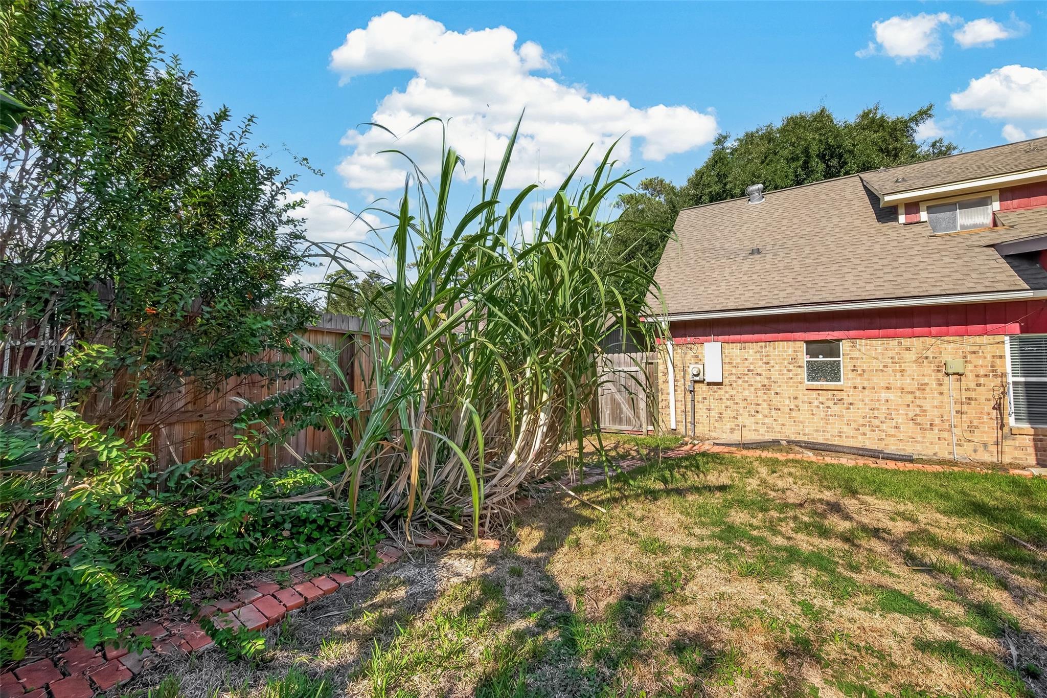 Residential in Spring 3