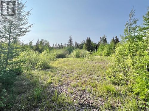 437 Main St, Peterview, NL, A0H1E0 | Card Image