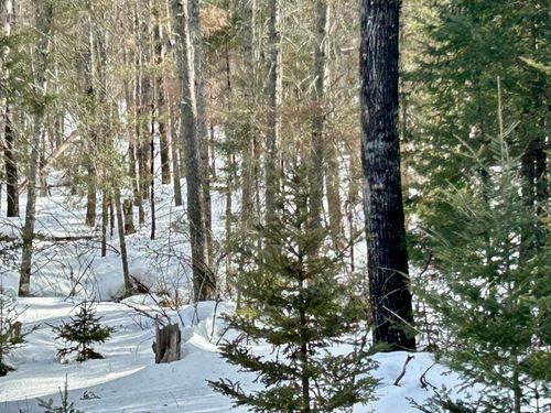 14780 Hwy 55, Crandon, WI, 54520 | Card Image