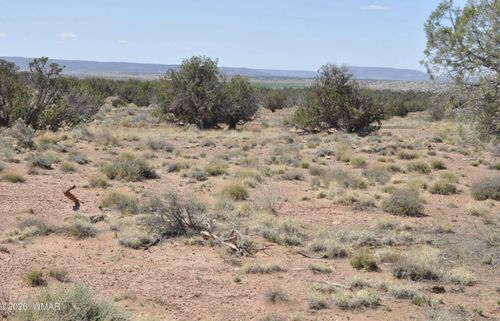 29A Faith Way, Concho, AZ, 85924 | Card Image