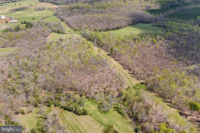 8371 Langhorne Rd, Home with 3 bedrooms, 3 bathrooms and null parking in Scottsville VA | Image 65