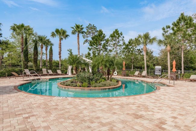 11551 Callisia Dr, House other with 2 bedrooms, 2 bathrooms and null parking in Odessa FL | Image 51