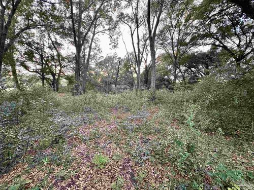 3913 Kelly Ave, Pensacola, FL, 32505-4213 | Card Image