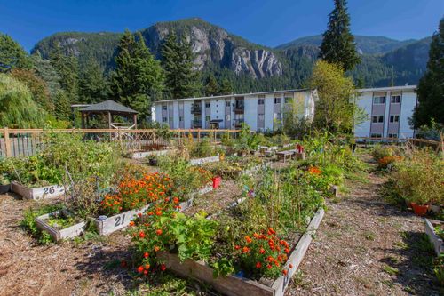 35-38175 Westway Ave, Squamish, BC, V8B0Y4 | Card Image