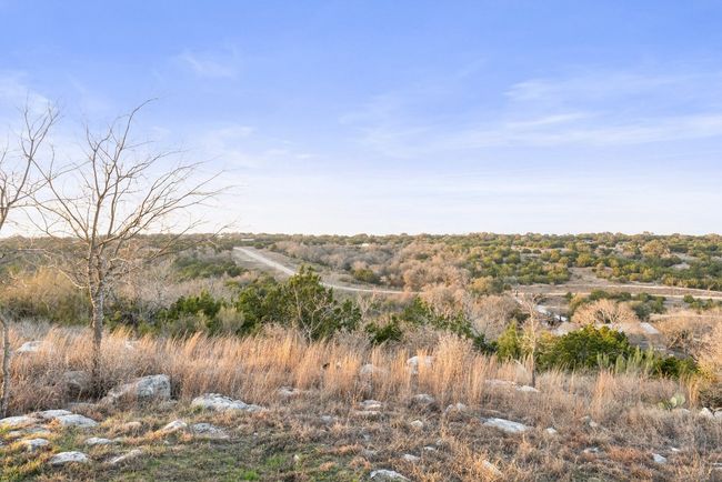 View of local wilderness | Image 11