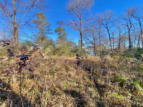 Lot #10 Tall Timber Road, Crockett, TX, 75835 | Card Image