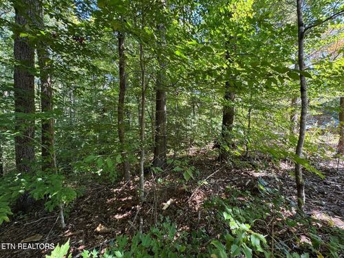 6 Saddle Brook Way, Sevierville, TN, 37862 | Card Image