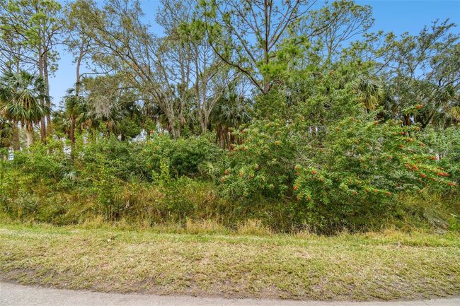 00 Phoenix Ave, Home with 0 bedrooms, 0 bathrooms and null parking in OLDSMAR FL | Image 24