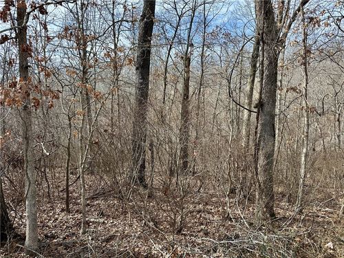 Lot 15 Billingsley Dr, Bella Vista, AR, 72715-8742 | Card Image