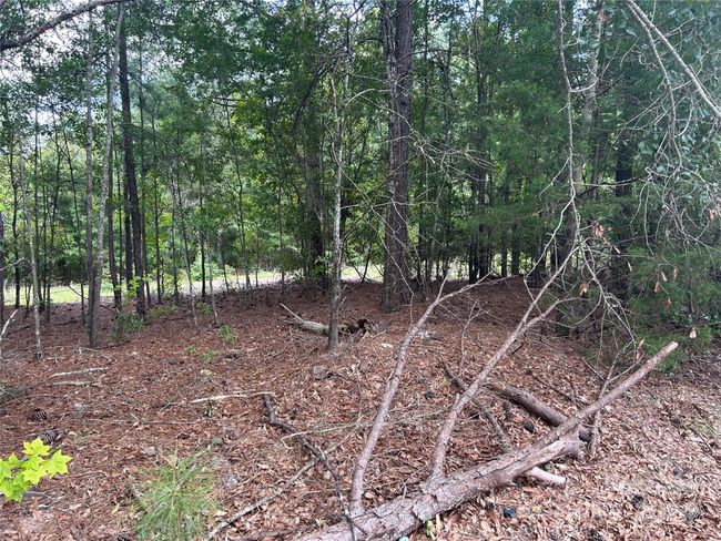5630 Woodsferry Rd, Home with 0 bedrooms, 0 bathrooms and null parking in Carlisle SC | Image 22