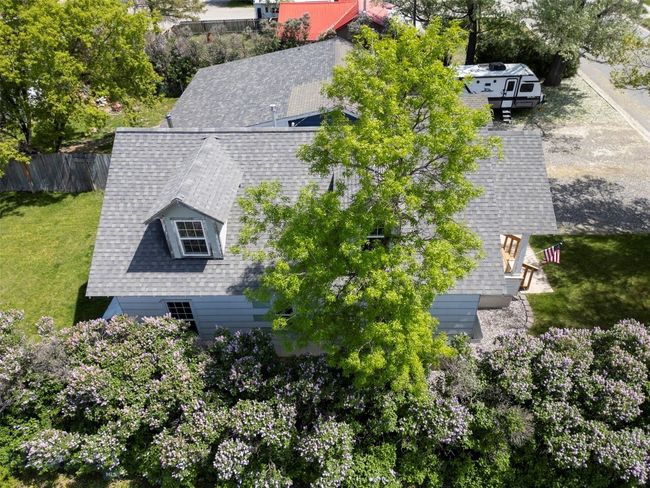 mature trees and pretty lilacs | Image 41