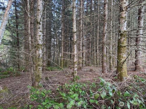 3 Lot Brown Rd W, Chehalis, WA, 98532 | Card Image