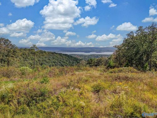 215 Willmon Rd, Scottsboro, AL, 35769 | Card Image