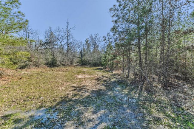 35 Old Sign Rd, Home with 1 bedrooms, 1 bathrooms and null parking in Midway TX | Image 35