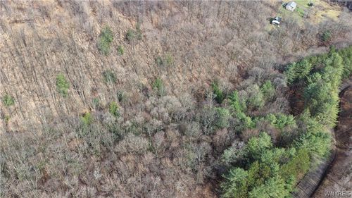 0 Haines Hollow Rd, Great Valley, NY, 14741 | Card Image