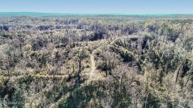 20250707195754354046000000-o | Image 28