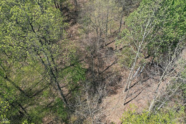 0 Possum Trot Rd, Home with 0 bedrooms, 0 bathrooms and null parking in Unionville IN | Image 10