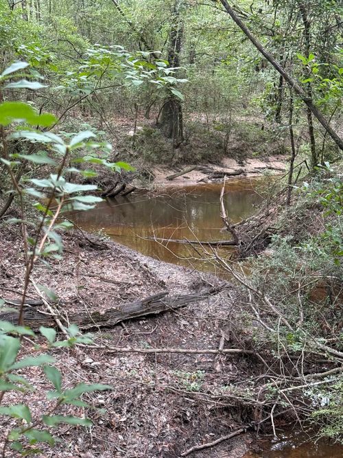 121 AC TR 76 County Road 441, Kirbyville, TX, 75956 | Card Image