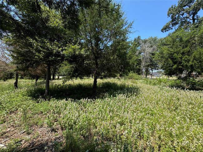 174 Charlya Dr, Home with 0 bedrooms, 0 bathrooms and null parking in Athens TX | Image 26
