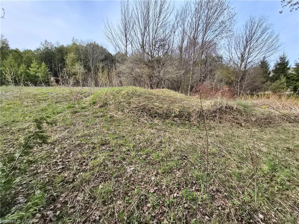 Land in Palmerston 4