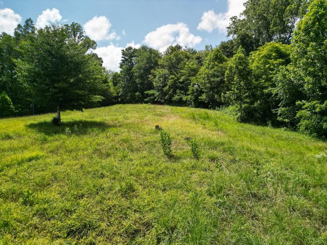 0 Allens Creek Rd, Home with 0 bedrooms, 0 bathrooms and null parking in GLADSTONE VA | Image 24