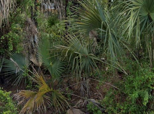 7879 Grafton Rd, NORTH PORT, FL, 34291-4088 | Card Image