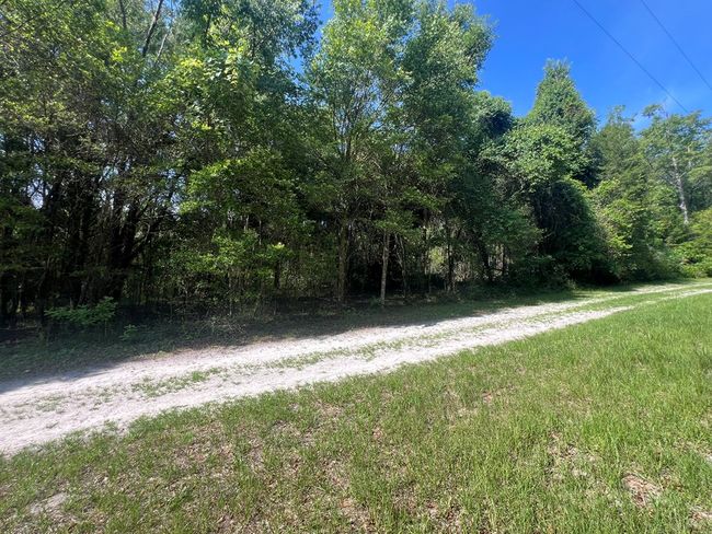 Lot 1 Old Wire Rd, Home with 0 bedrooms, 0 bathrooms and null parking in FORT WHITE FL | Image 14
