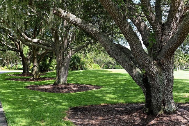 APT-501 - 409 N Point Rd, Condo with 3 bedrooms, 3 bathrooms and null parking in OSPREY FL | Image 87