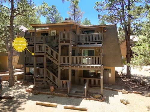 202-64 Mammoth, Angel Fire, NM, 87710 | Card Image