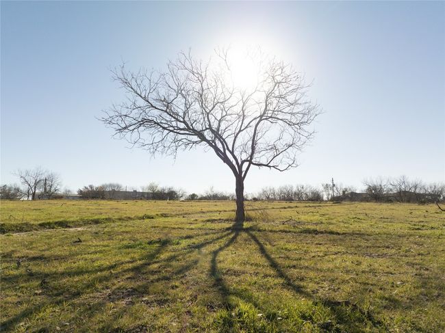2095 Bridal Path Rd, House other with 1 bedrooms, 1 bathrooms and 100 parking in Luling TX | Image 20