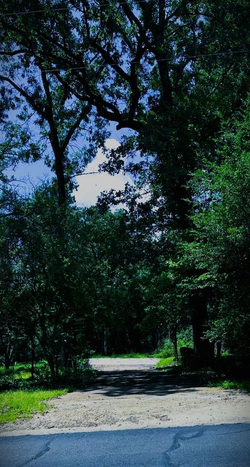263 W Holly Trl, Holly Lake Ranch, TX, 75765-7331 | Card Image