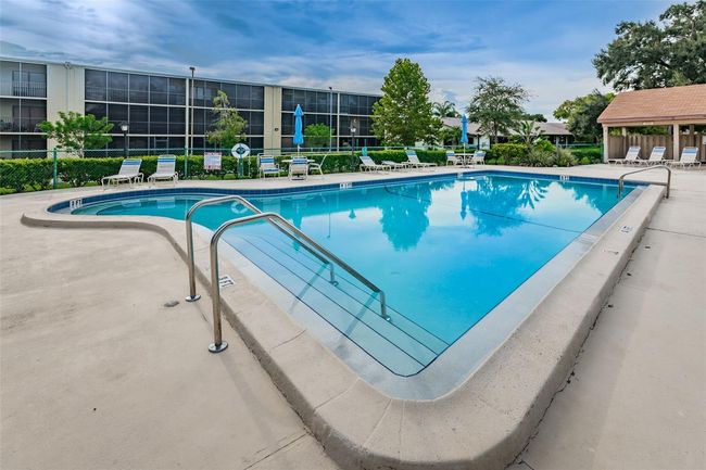 APT-107 - 1450 Heather Ridge Blvd, Condo with 2 bedrooms, 1 bathrooms and null parking in DUNEDIN FL | Image 36
