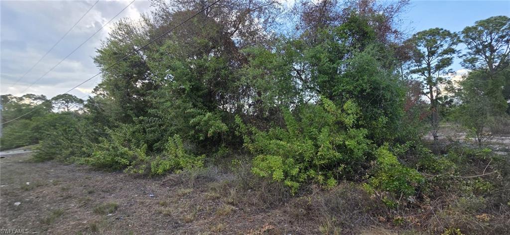 Land in LEHIGH ACRES 3