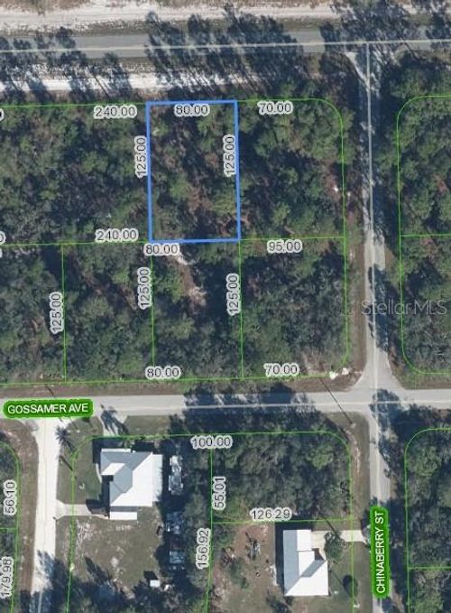 3226 Lake June Blvd, LAKE PLACID, FL, 33852-8615 | Card Image