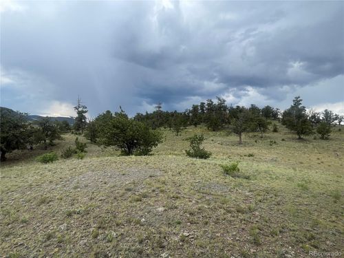 1991 Leonardo Ln, Hartsel, CO, 80449 | Card Image